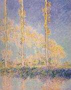 Three Poplars,Autumn Effect